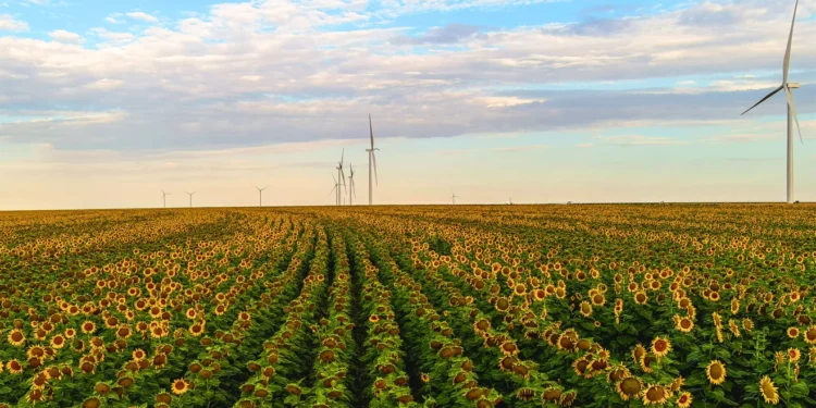 Amazon sets a new record for the most renewable energy purchased in a single year
