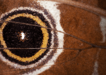 SBTN Releases First Corporate Science-Based Targets for Nature