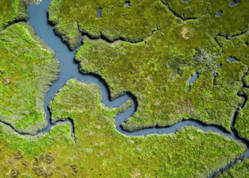 UK Water Giant United Utilities Goes Beyond Climate: Reporting on Nature Impacts with TNFD