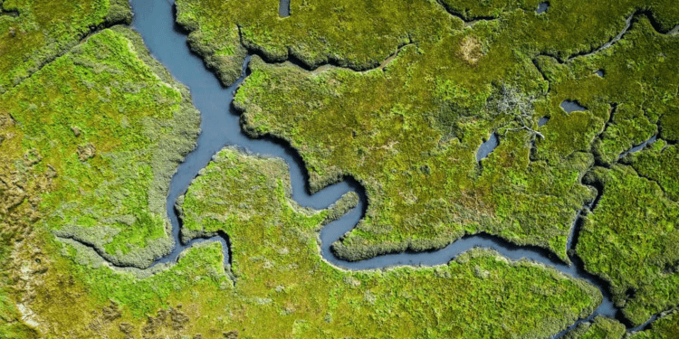 UK Water Giant United Utilities Goes Beyond Climate: Reporting on Nature Impacts with TNFD