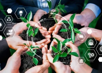 Sustainability at a Crossroads: Experts Push for Bold, Transformative Action