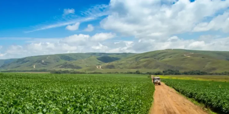 Brazil: Landscape Accelerator Brazil Launches $5 Billion Push for Regenerative Land Transformation