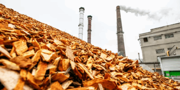 India scales its Circular Economy strategy by targeting 18,000 MW of biomass power from agricultural waste
