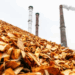 India scales its Circular Economy strategy by targeting 18,000 MW of biomass power from agricultural waste