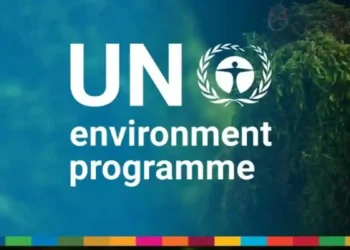 Iraq: United Nations Environment Programme Restores Wetlands to Boost Ecosystem Services