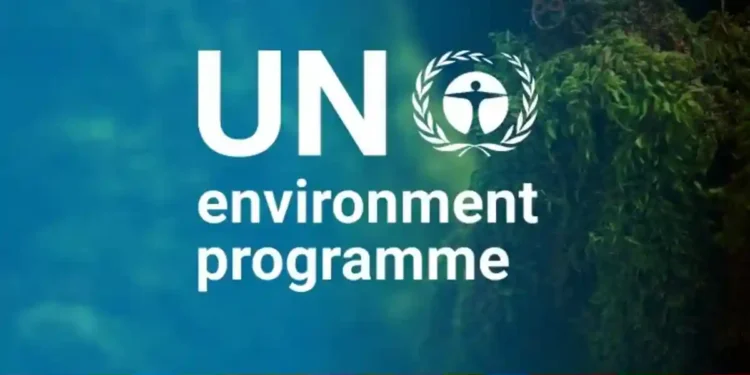 Iraq: United Nations Environment Programme Restores Wetlands to Boost Ecosystem Services