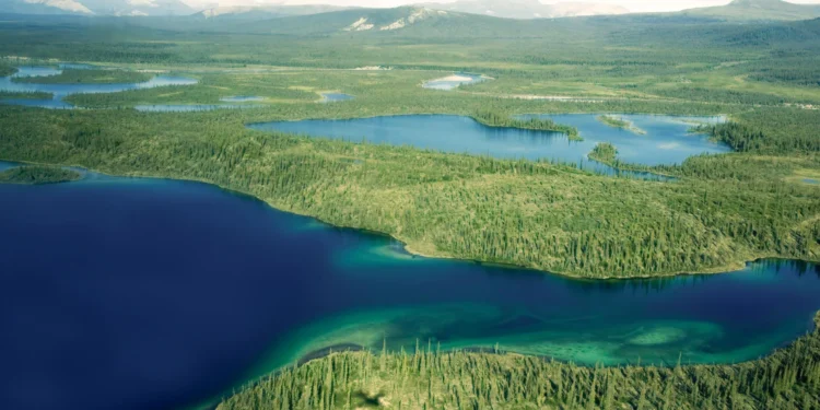 Norway Arctic Farmland Water Management Breakthrough Positions Peatlands as a Powerful Carbon Sink Solution