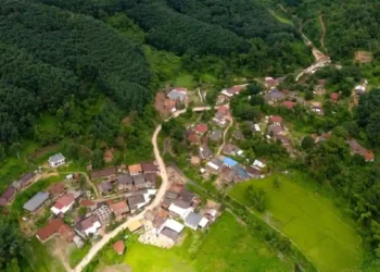 Asia and the Pacific: Strengthening Forest Protection for Climate and Biodiversity Goals