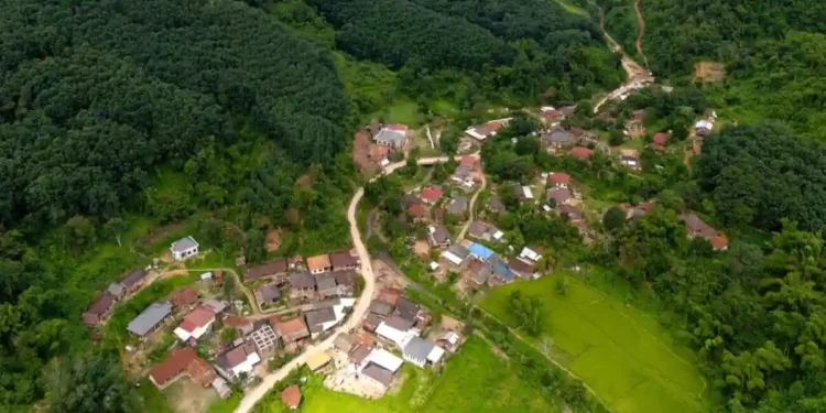 Asia and the Pacific: Strengthening Forest Protection for Climate and Biodiversity Goals