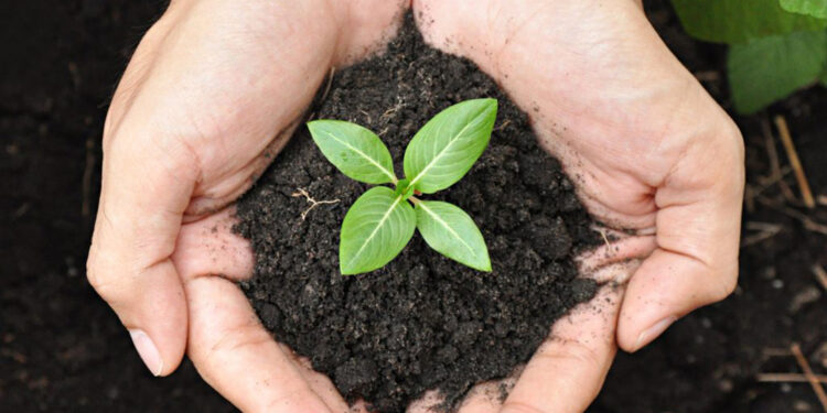 India: Women-Led Climate Action in Pratapgarh Sparks Grassroots Environmental Movement