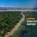 Brazil: COP30 Presidency Releases Executive Report and Implementation Roadmaps