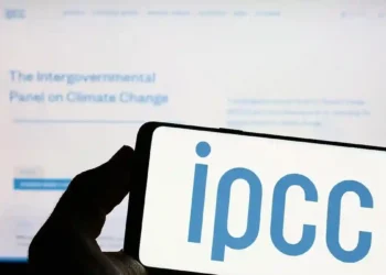 IPCC Initiates Methodology Report on Carbon Dioxide Removal and CCUS to Strengthen Global Climate Accounting