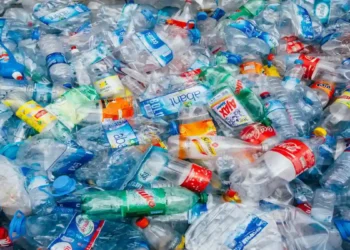 India: Ministry of Environment, Forest and Climate Change Amends Plastic Waste Management Rules 2016