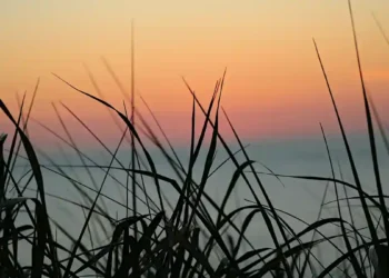 Global: GHG Protocol and ISO Finalize Joint Working Group for Product-Level Standards