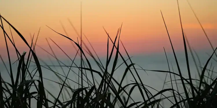 Global: GHG Protocol and ISO Finalize Joint Working Group for Product-Level Standards